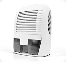 Desumidificador Desidrat Mini II