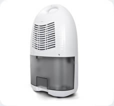 Desumidificador Desidrat Mini III