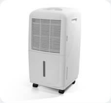 Desumidificador Desidrat Plus III