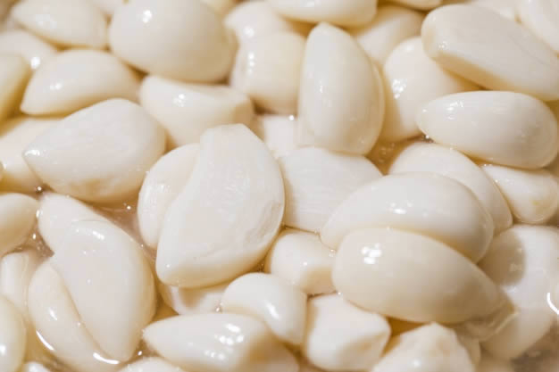 Dentes de alho descascados para o processamento de pasta
