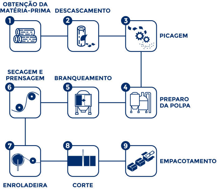 Obtenção da Matéria-Prima Descascamento