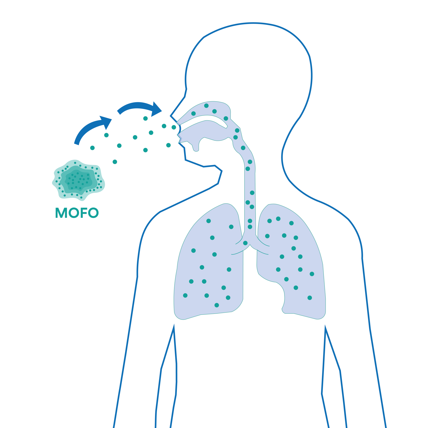 Ilustração esporos de mofo nas vias respiratórias.jpeg