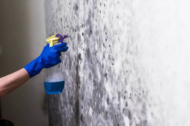 Limpando a parede com spray