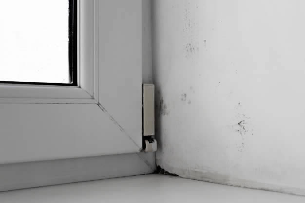 Canto da parede com manchas de mofo devido à condensação da janela