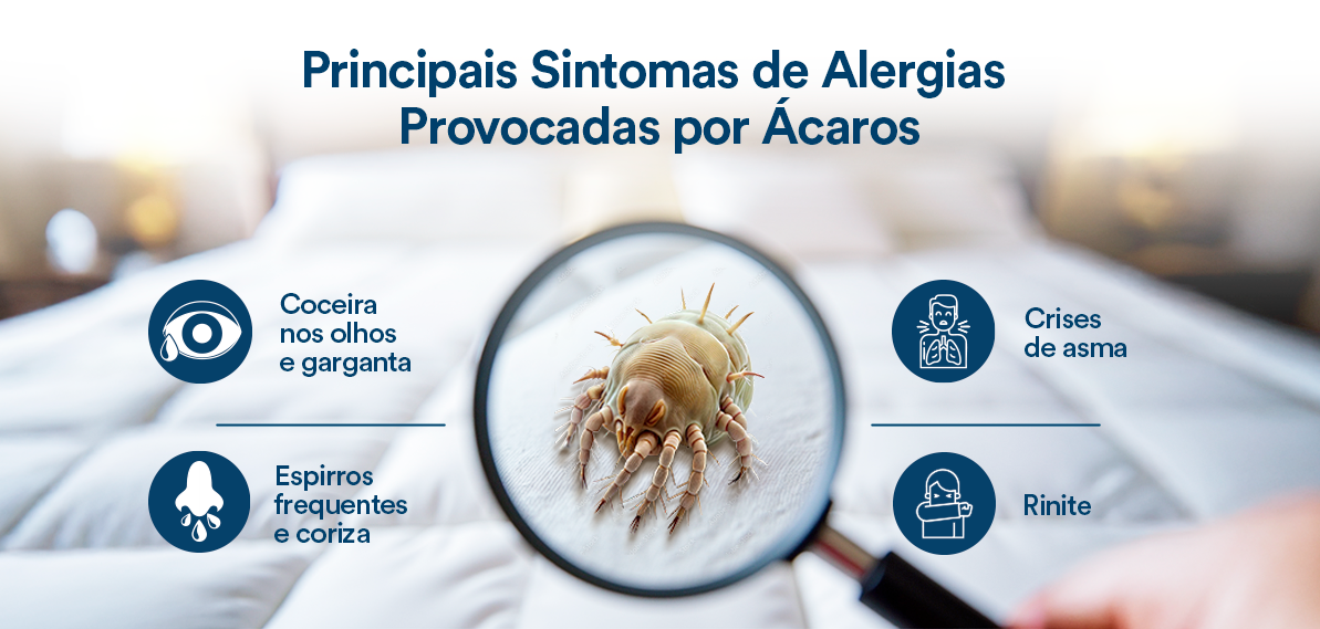 Principais sintomas de alergias provocadas por ácaros