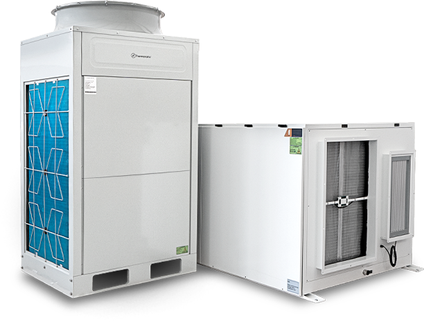 Tetus 1200