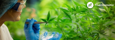 Foto Desumidificador Para Cultivo De Cannabis (Uso Medicinal)