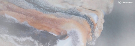 Foto Desumidificador para Couro