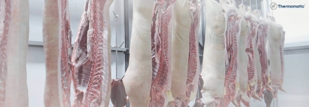 Foto Desumidificador para Frigoríficos
