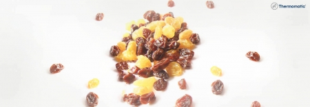 Foto Desumidificador para Frutas Secas