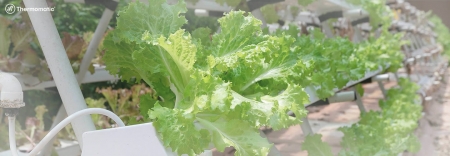 Foto Desumidificador para Indústria Agropecuária