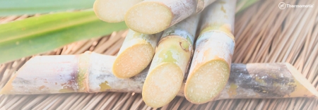 Foto Desumidificador para Sucroalcooleira