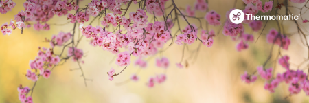 Foto O Pólen Da Primavera E Seus Impactos Na Saúde