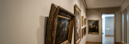 Fungos Em Acervos Museológicos: Como A Umidade Favorece A Deterioração