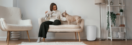 Foto Desumidificadores Previnem Fungos em Animais
