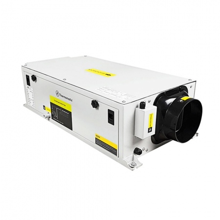 Tetus 20