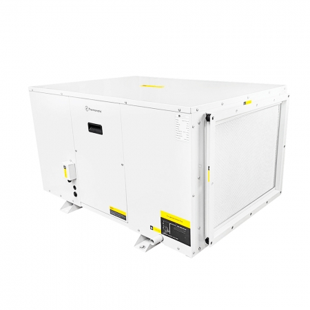 Tetus 240