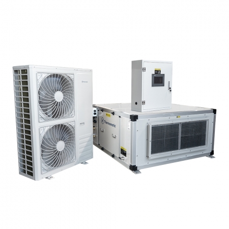 Tetus 240C