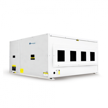 Tetus 480